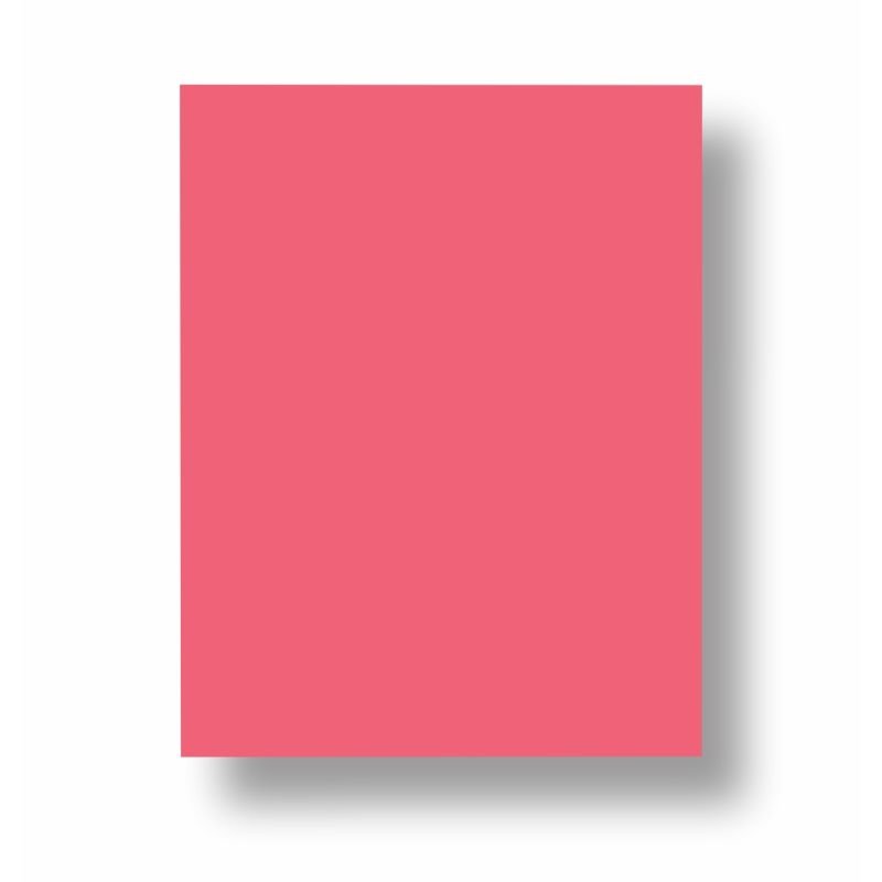 Color Plus Rosa Escuro 180g 10 folhas Su's